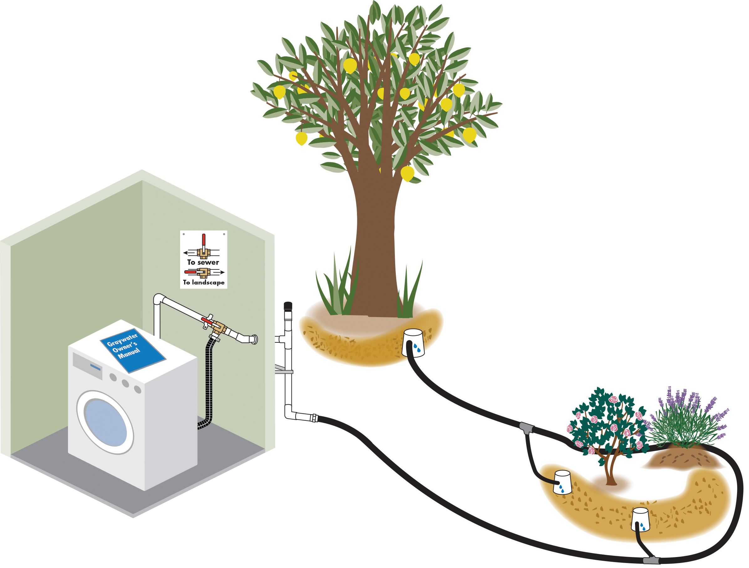 Graywater Laundry to Landscape Example. Rebate Available. Detailed Version Available.