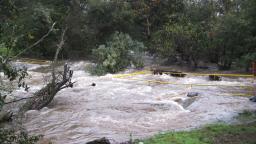 Llagas creek flooding