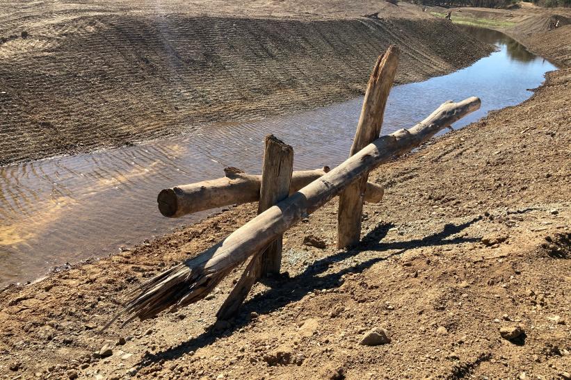 Lake Silveira turtle structure